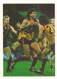 1991 Select AFL Stickers #40 Alex Ishchenko Front